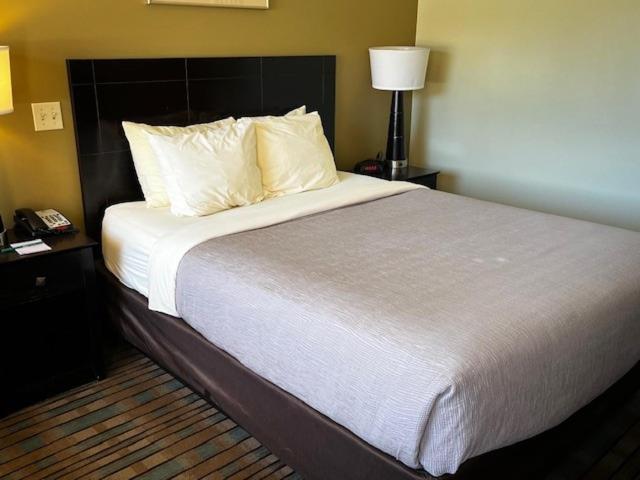 Quality Inn Navajo Nation Capital Window Rock Ngoại thất bức ảnh